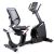 BRX Recumbent 300 ERGO