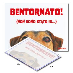 Tappetino Decontaminante - Dog