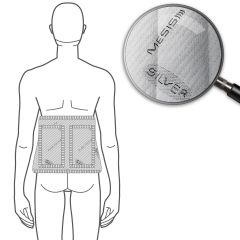 Fascia Lombare Renale