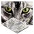Tappetino Decontaminante - Cat